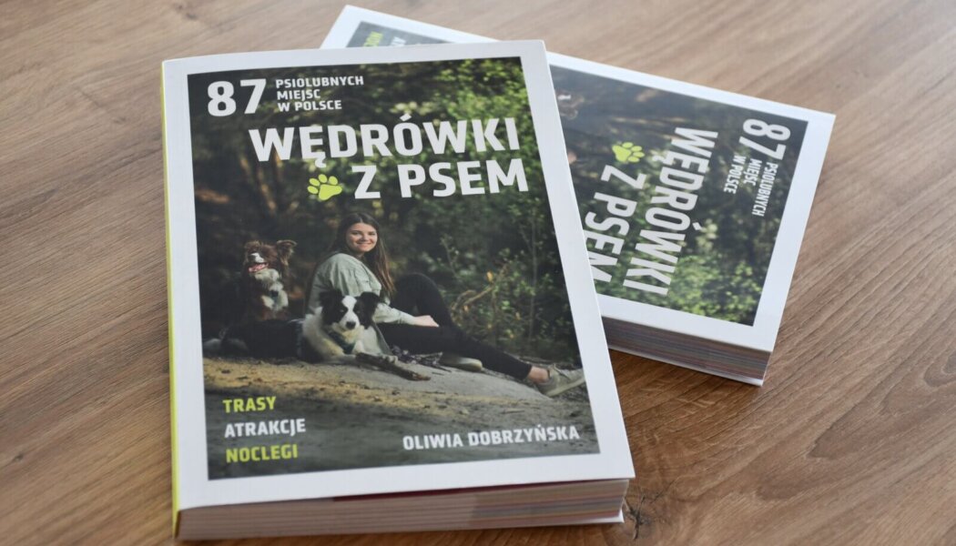 Wielkopolskie atrakcje w gronie najbardziej psiolubnych miejsc w Polsce