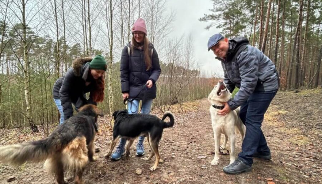 Jesteśmy PSYjaźni i pomagamy czworonogom w schronisku!