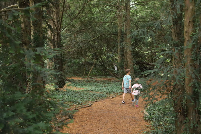 podróżująca rodzina w wielkopolsce