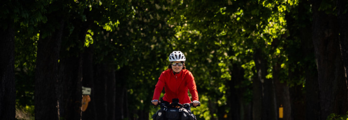 P5151363 fot. J. Rybicki