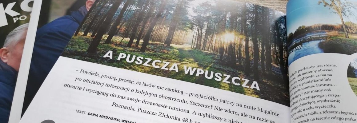 Sukces puszcza zielonka2