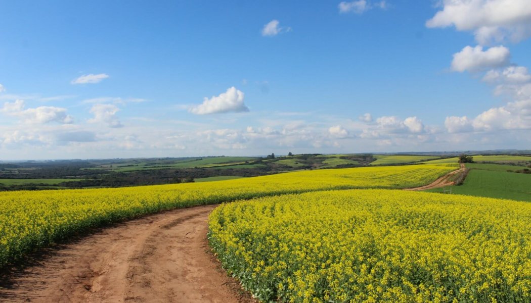 Wizyta studyjna dla branży agroturystycznej w dolnośląskim